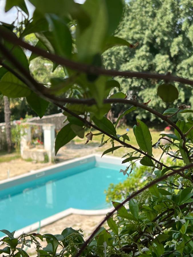 Villa Encantamiento - Dimora Gelsomino - Masseria Storica Nel Cuore Della Puglia Con Piscina Latiano Bagian luar foto