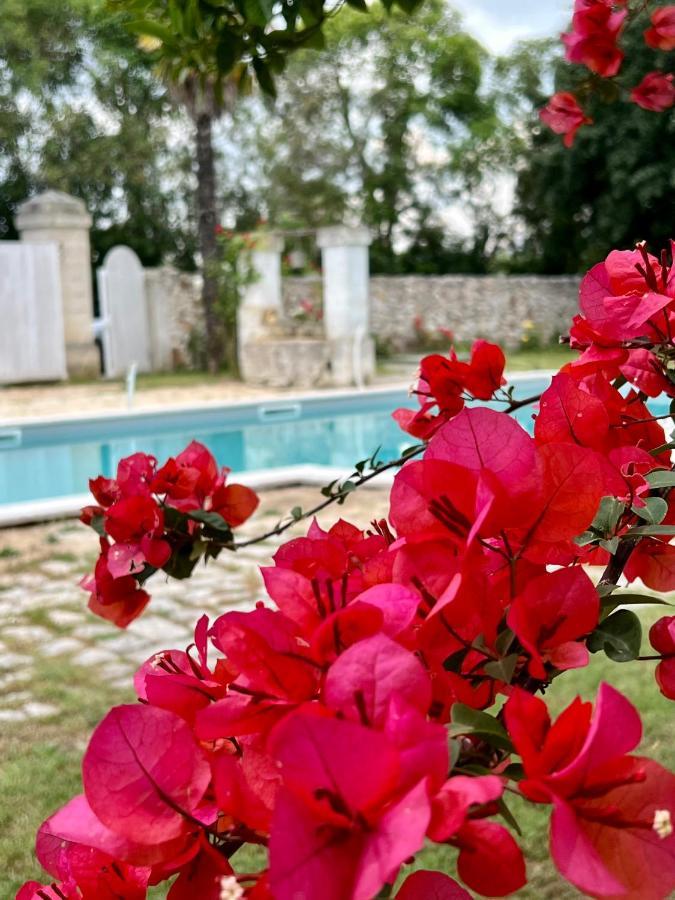 Villa Encantamiento - Dimora Gelsomino - Masseria Storica Nel Cuore Della Puglia Con Piscina Latiano Bagian luar foto